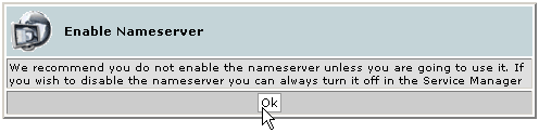 Enabling nameservers