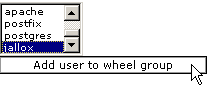 Adding a user to the Wheel group